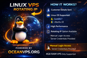 Linux VPS Hosting server